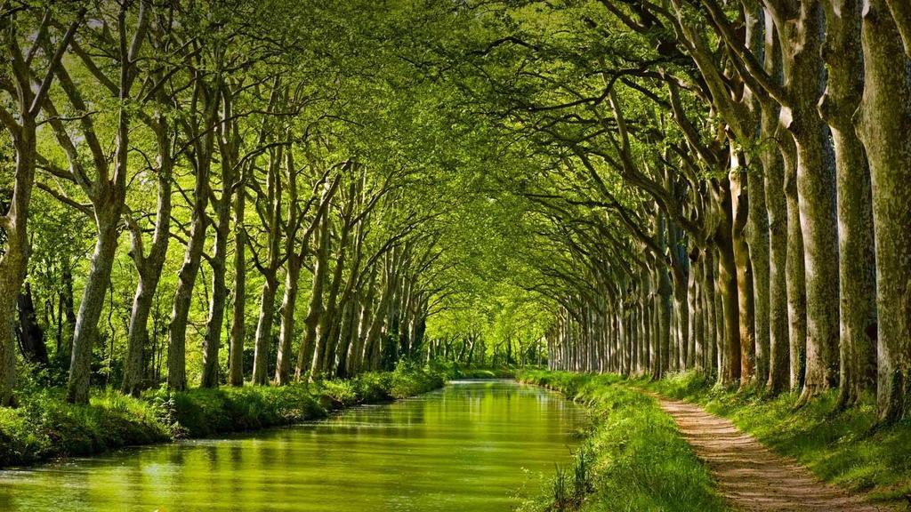 Gite La Chartreuse Du Canal Du Midi Toulouse Exterior foto